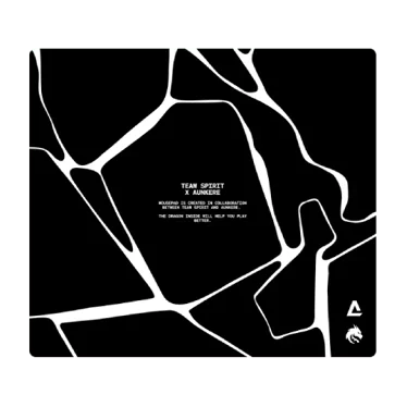 Aunkere Gear x Team Spirit Cracked