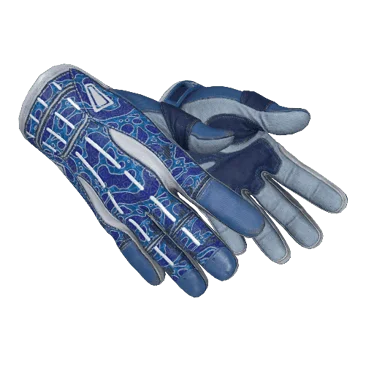 ★ Sport Gloves | Amphibious (Minimal Wear)