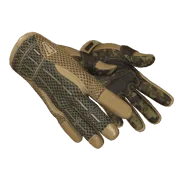 ★ Sport Gloves \| Arid (Field-Tested)