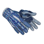 ★ Sport Gloves \| Amphibious (Well-Worn)