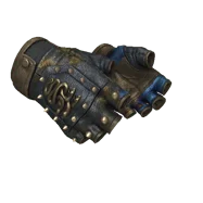 ★ Hydra Gloves \| Case Hardened (Minimal Wear)