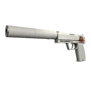 USP-S \| Whiteout (Factory New)