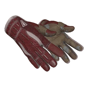 ★ Sport Gloves | Slingshot (Field-Tested)