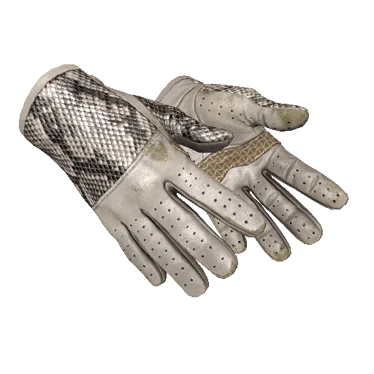 ★ Driver Gloves | King Snake (Field-Tested)