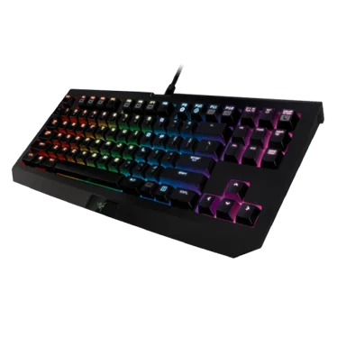 Razer Blackwidow Chroma TE V2