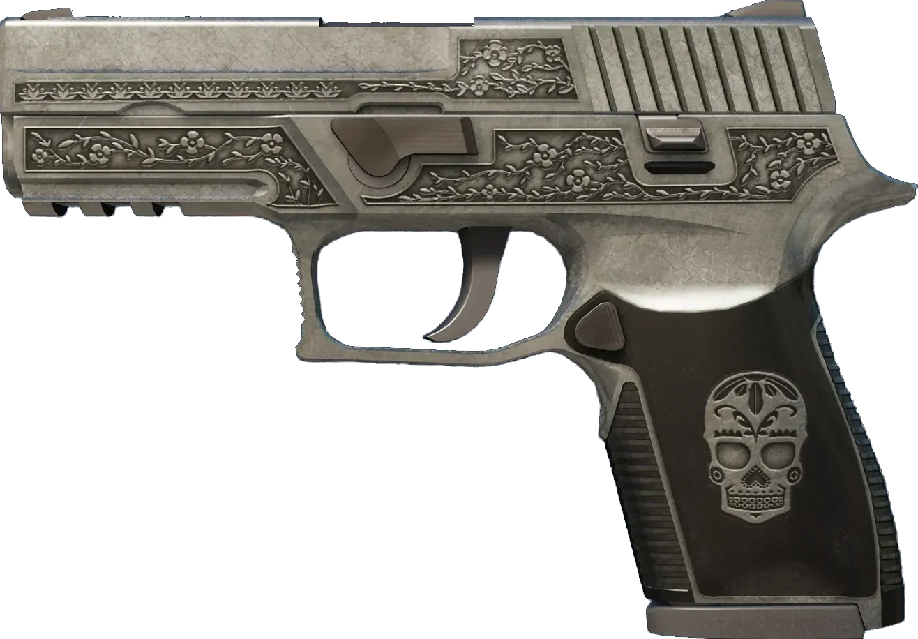 P250 | Cartel