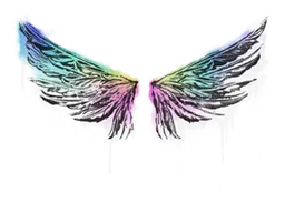 Sealed Graffiti Wings