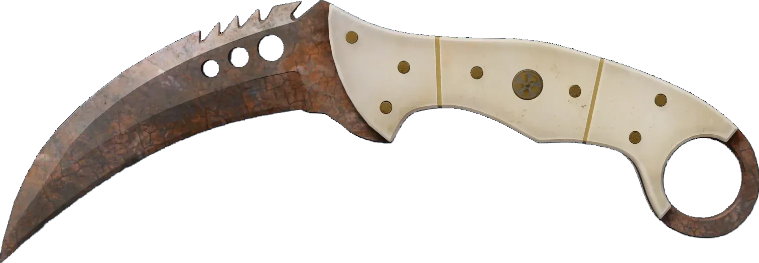 Rust Coat (stattrak well-worn) Preview